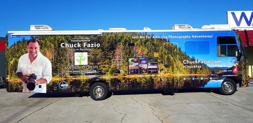 Custom commercial wrap project